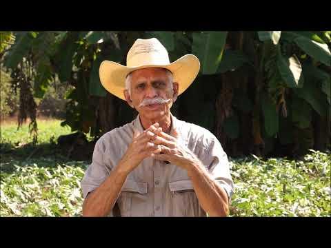 Two Important Problems Shekhar Bhadsavle Sees the GFN Solving