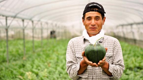 Farmers Want to Feed the World – Let Them Do It!