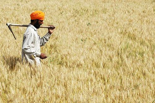 Food Security Depends on the Truth of Science