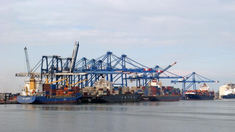 Request for Consideration: A FTA with Egypt
