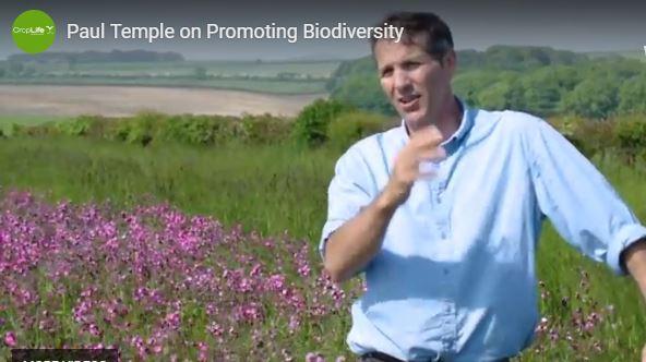 Video: Paul Temple on Promoting Biodiversity