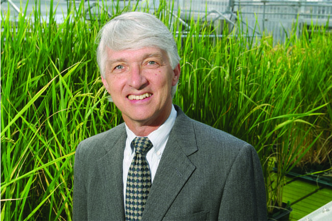 Rethinking Regulations for Biotech Crops