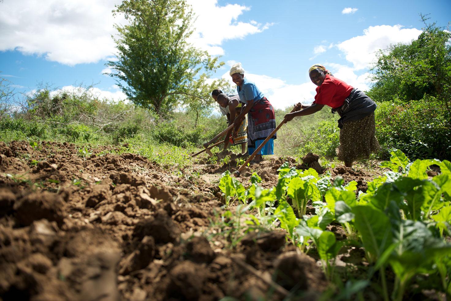 A Kenyan Smallholder Speaks Up For Farmers Around the World