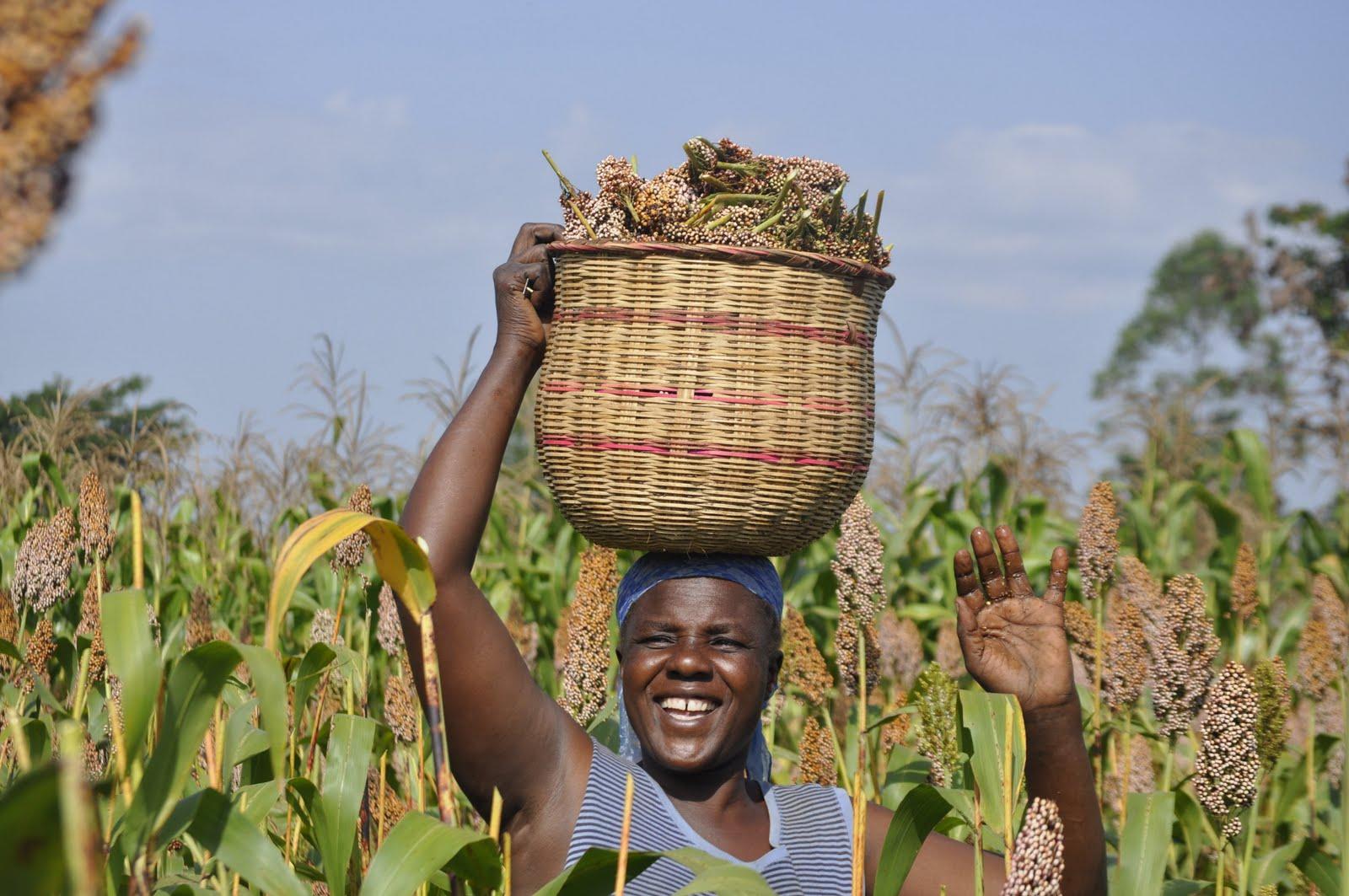 African Farmers Will Help Feed the Billions