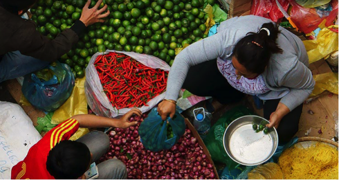 Technology to Feed the World