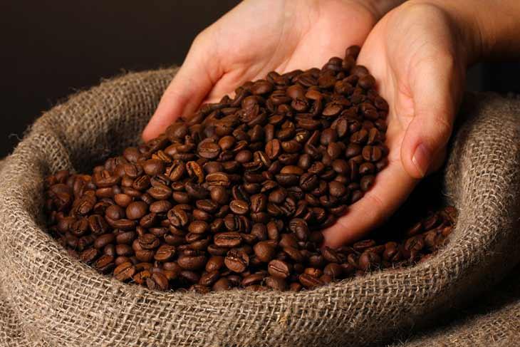 Brazil Approves Biotech Dry Beans