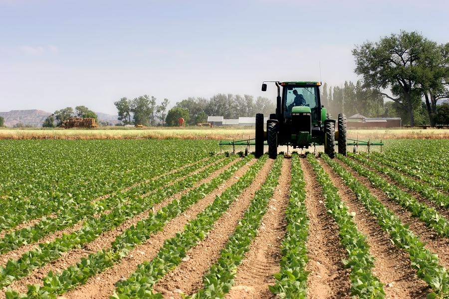 Three Billion Acres of GM Crops and Counting!
