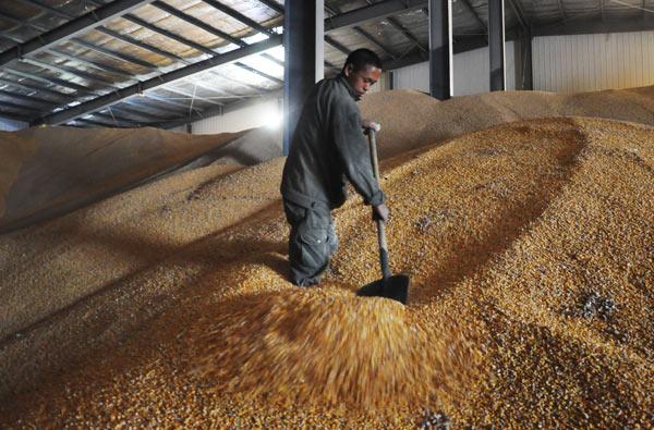 Low Level Presence of Biotech Crops in Export Shipments