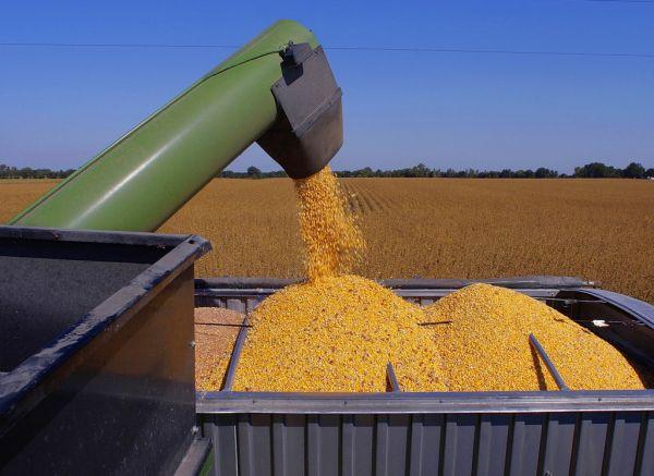 The Variability of U.S. Agricultural Exports