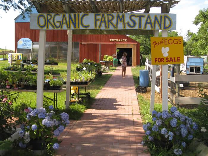 Organic Farming Cannot Feed The World