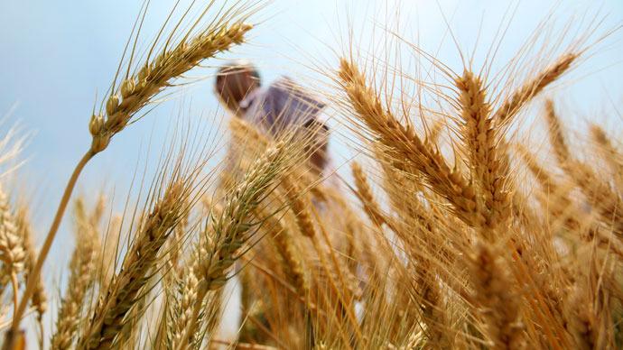 Trade-offs for Benefits of Biotech Crops