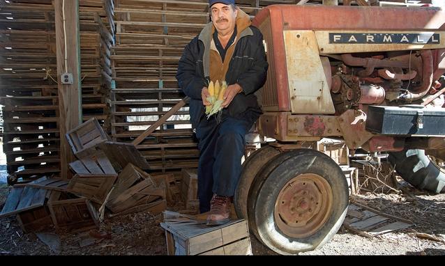 A Farmer’s Testimony to Decontaminate an Organic Proposal