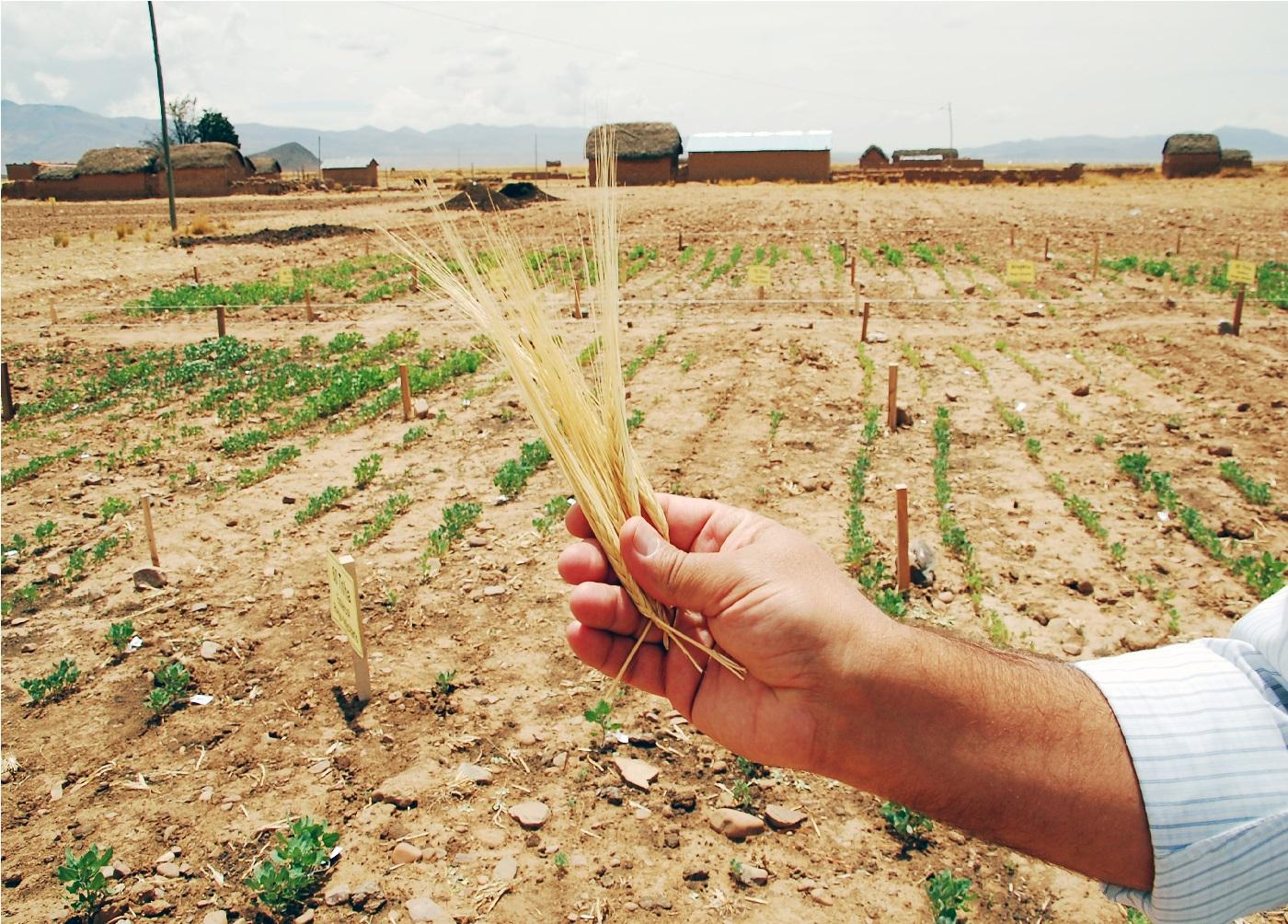 Measuring Global Food Security