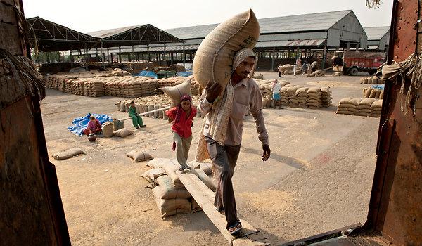Grain Imports in Low Income Developing Countries