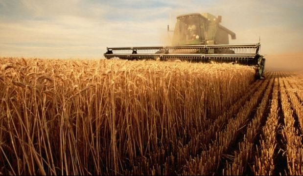 Aligning U.S. Farm Policy with Trade Policy