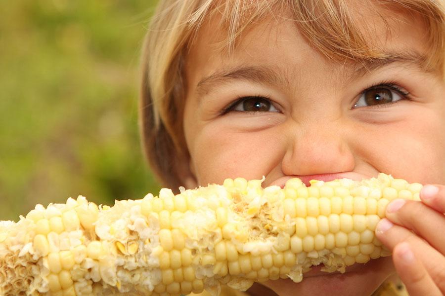 Here’s to Healthy Delicious Sweet Corn