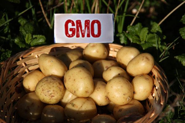 It’s Back to School for Potatoes