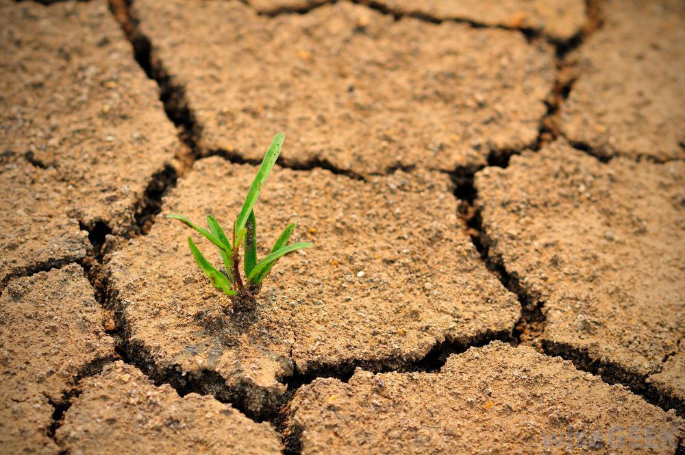 How Dry Is It?