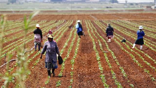 We Must Remove the Landmines That Limit Access to Biotechnology in Africa
