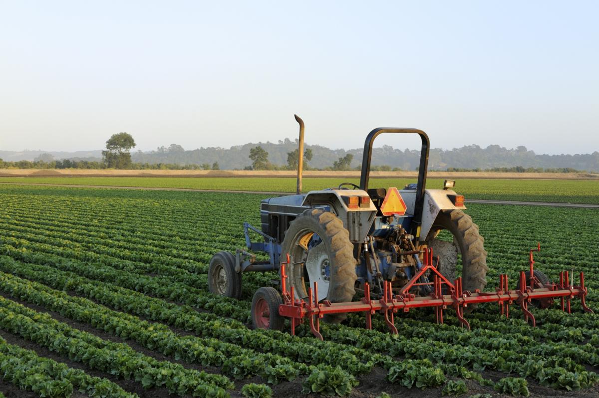 A New U.S. Farm Bill and Developing Countries