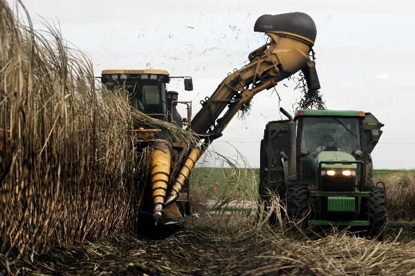 U.S. Sugar Policy Under Supply Pressure