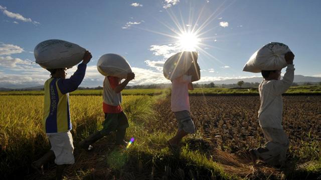 Achieving Food Security