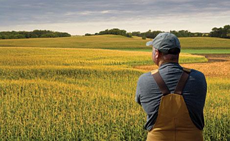 World Corn Market Adjusting to Short U.S. Crops