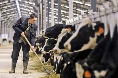 Japan's Dairy Policy Critical to TPP and Other Negotiations
