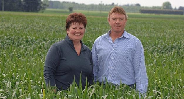 Sustainable Intensification In Global Agriculture