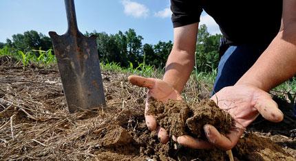 People and the Soil Need a Balanced Diet to Thrive