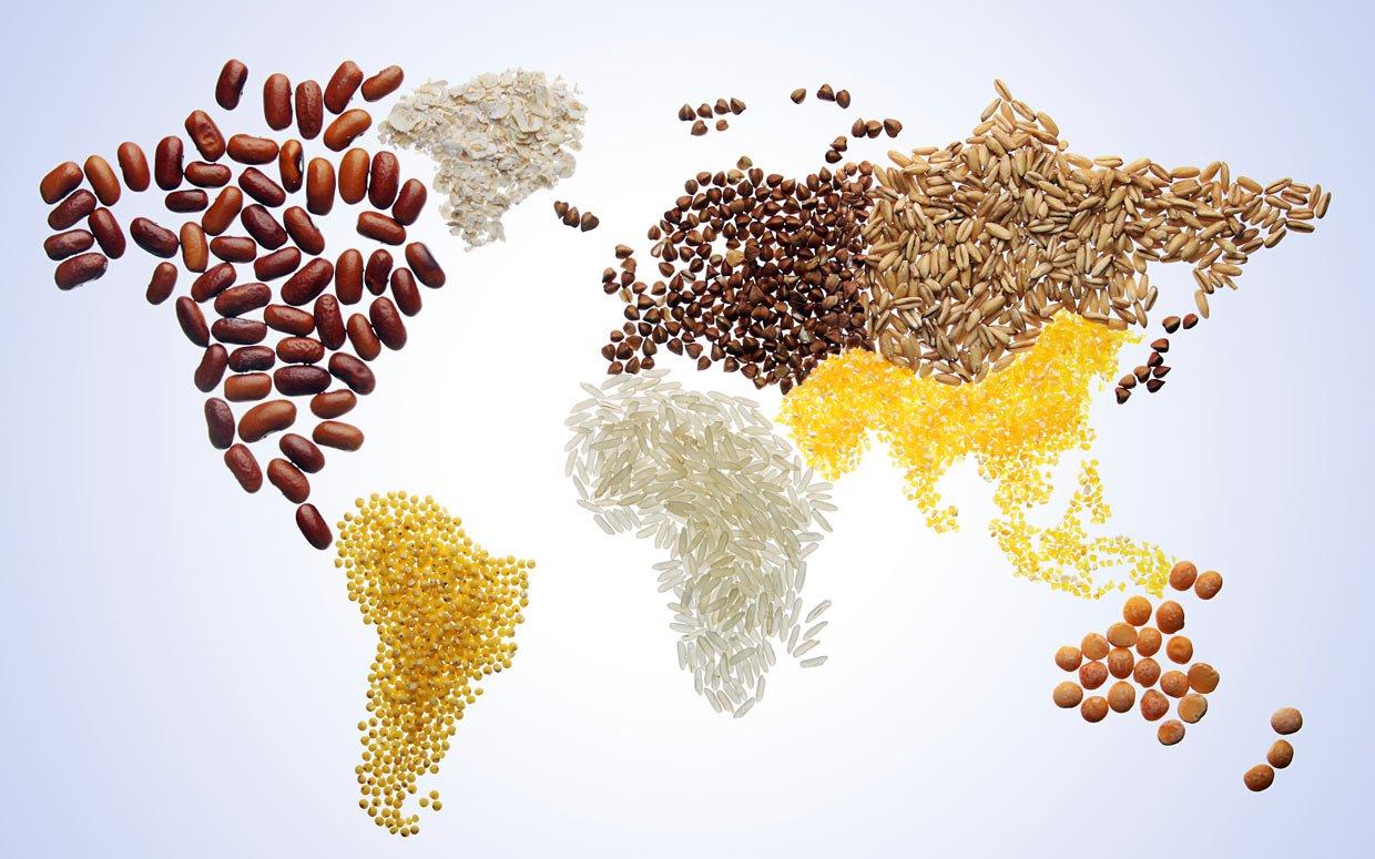 USDA Trade Projections for Bulk Commodities for the Next Ten Years