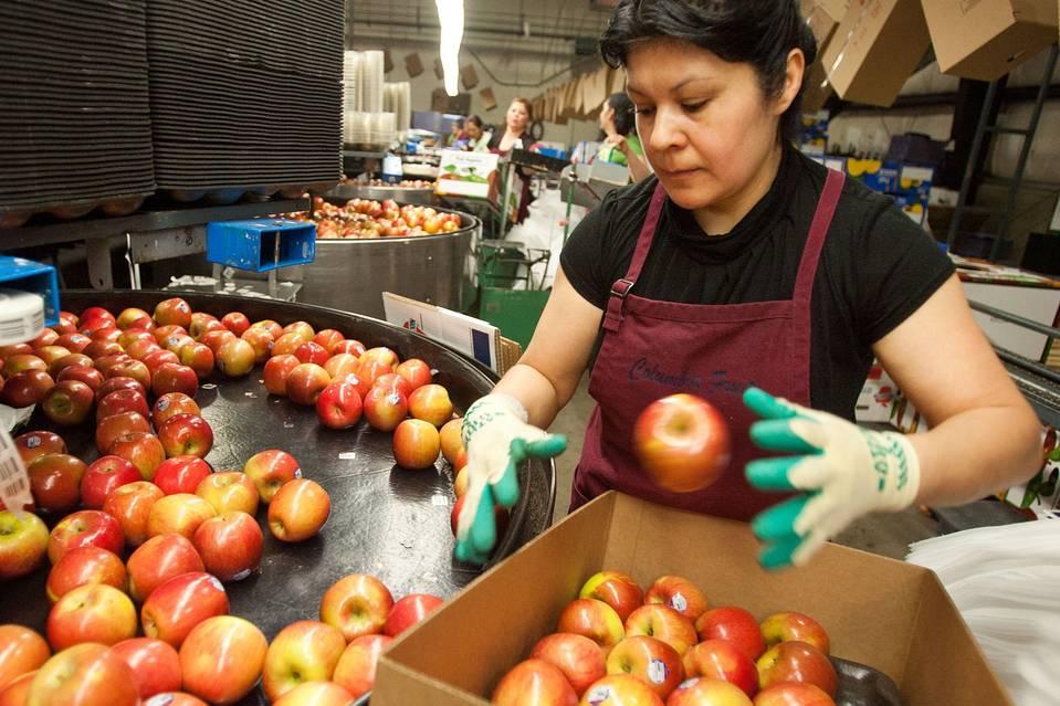 Restraints on Agricultural Exports Under WTO Rules