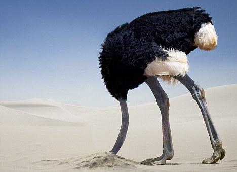 U.S.-EU Trade Agreement and the Precautionary Principle