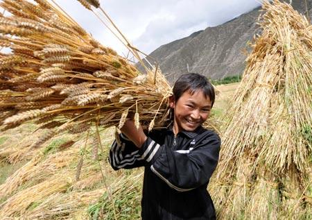 World Wheat Supply-Demand Balance