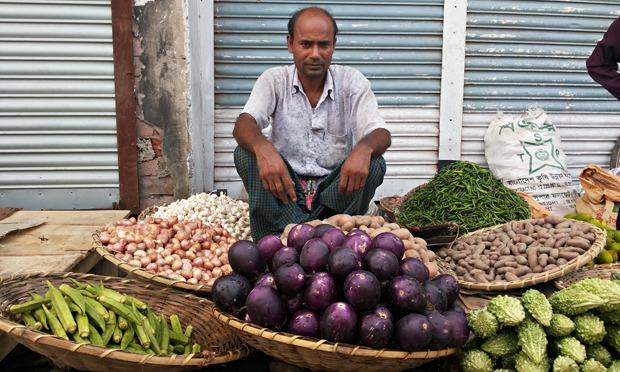 India's Farmers Wait as Bangladesh Embraces Biotech Brinjal