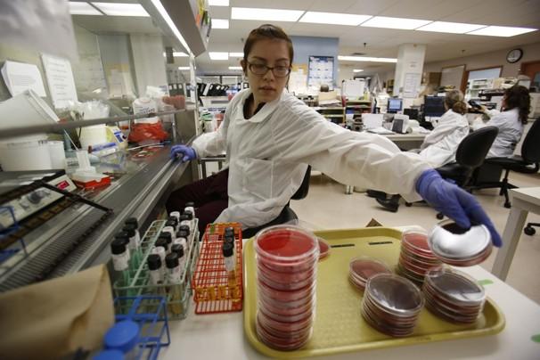 New Role for FDA in Regulating Food Imports