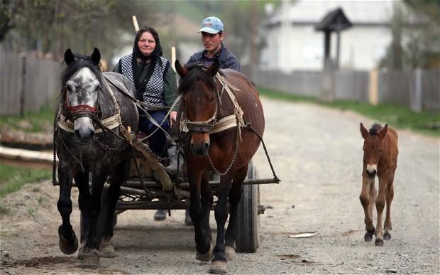 Biotechnology's Prospects in the Black Sea Region