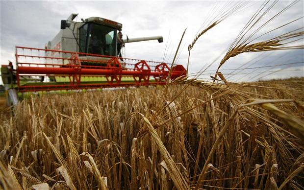The EU-US Trade Talks Represent an Opportunity to Change Minds on GM