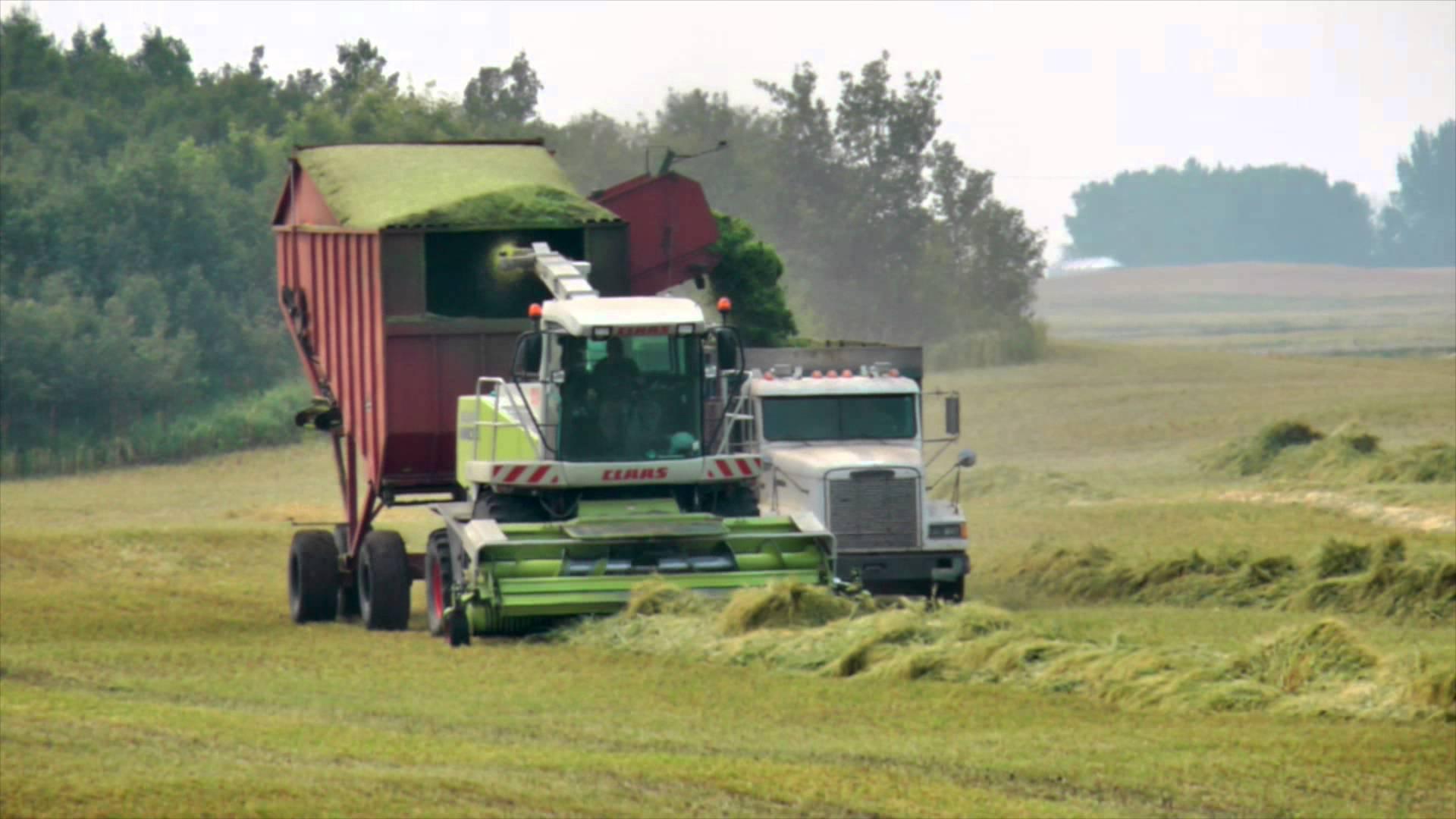 Eastern Canada Plan for Alfalfa Coexistence