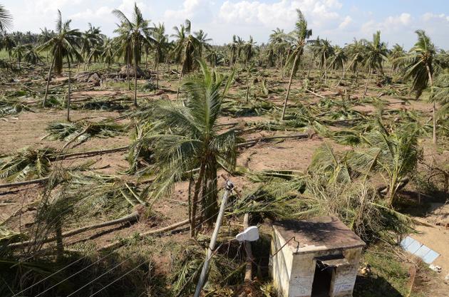 Challenges and Opportunities of Farming in India