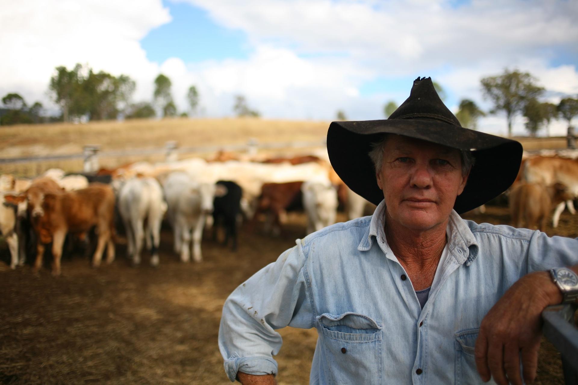 Cattle Producers Push for Strong TPP Trade Agreement