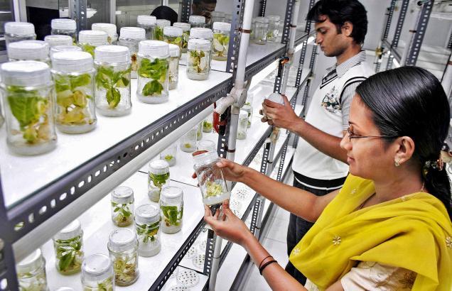 Building Infrastructure to Support Innovative Agriculture Research