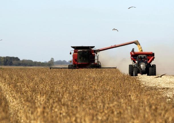 Bad Policy Can Create An Unnatural Agriculture Disaster