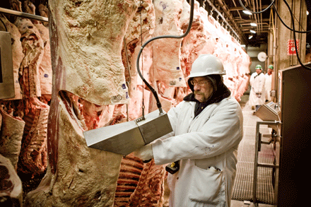 USDA’s Never Fed Beta Agonist Verification Program