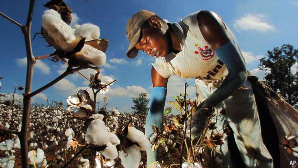 Resolution of the Brazilian WTO Export Credit/Farm Program Case