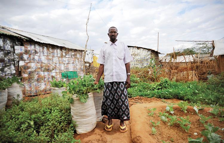 Agricultural Trade and Keeping the Big Picture in Mind