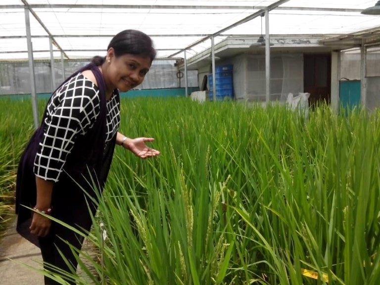 Golden Rice: Let the Farmers Grow it and the Children Eat it