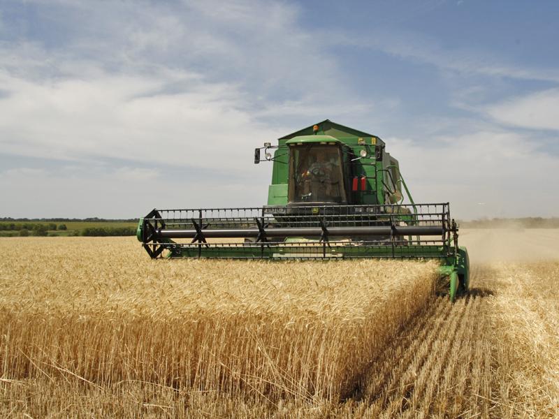 Good Harvests Shift Concerns to a Longer-Term View of Markets