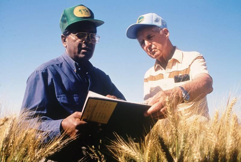 Honoring a Wheat Scientist who has Helped Family Farmers Improve Their Lives