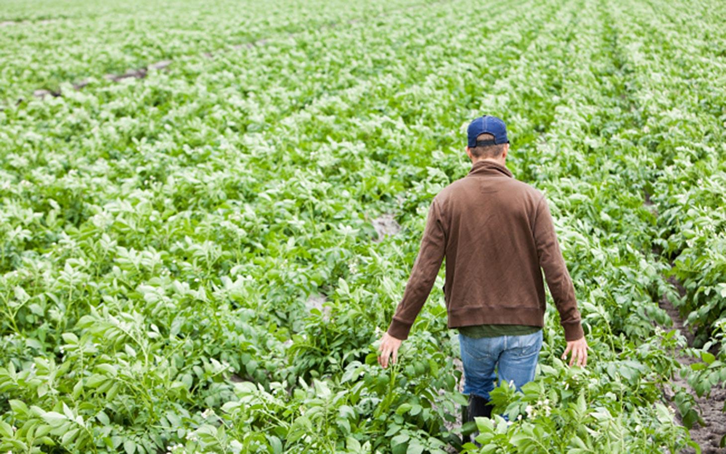 Dow Enlist Herbicide Addresses Public Policy Need